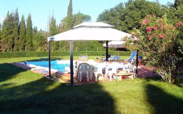 I Mori Gelsi - Fattoria Spinola