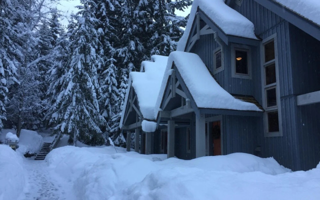 23 Treeline