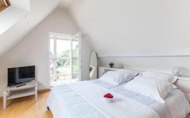 Villa Cosy et Spa - Strasbourg