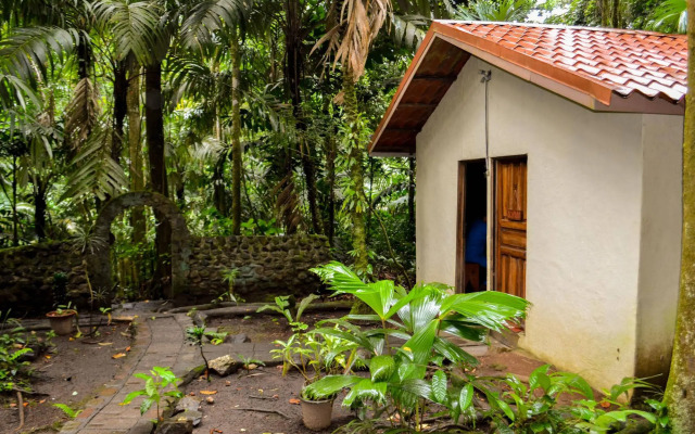 Termales del Bosque & Hot Springs