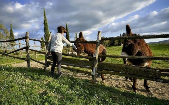 Verdidea - Il Tinaio