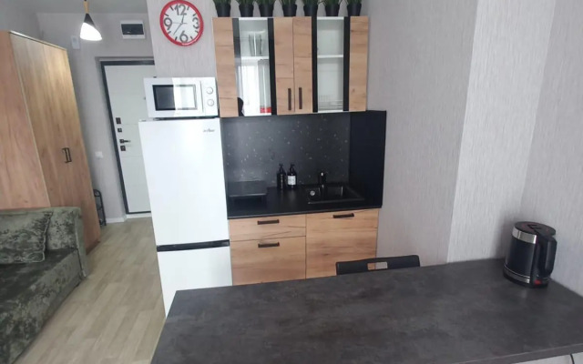 Апартаменты в микрорайоне Околица