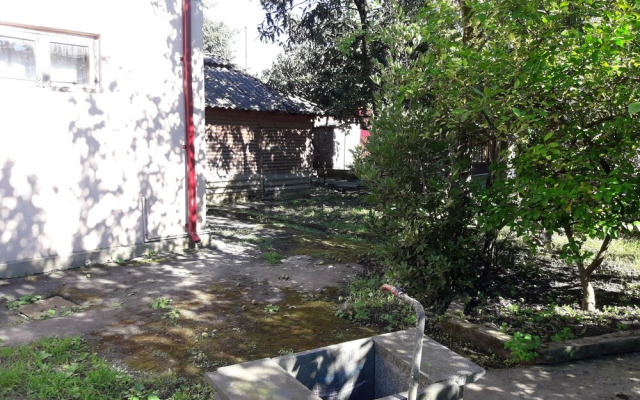 Cozy Home Hostel
