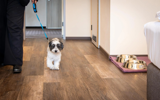 Best Western Plus Palatin Kongresshotel