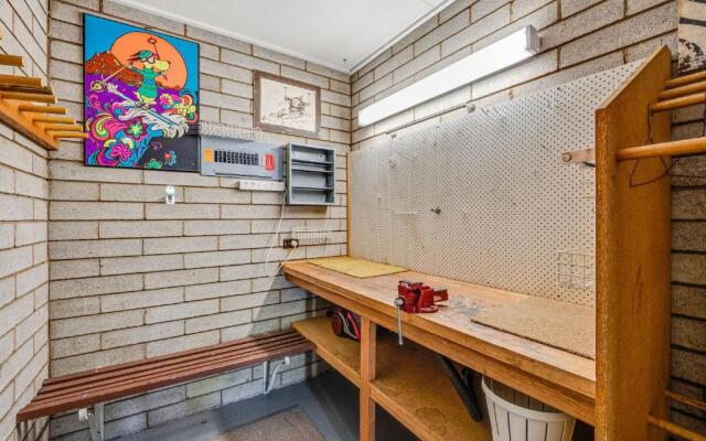 Grey Kangaroo- On Lake Jindabyne foreshore