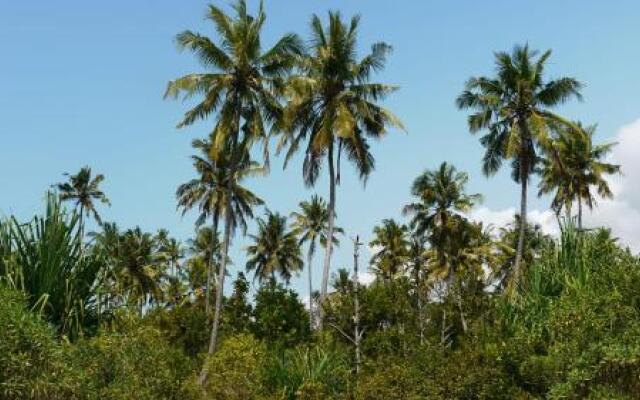 Barefoot Zanzibar