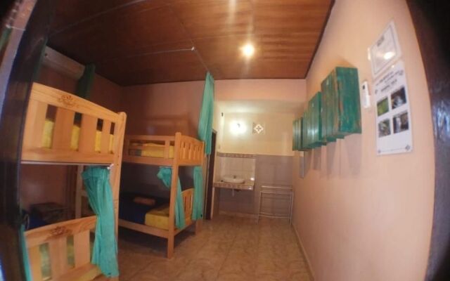 Amel Homestay