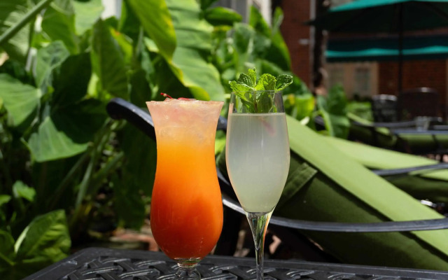 Bourbon Orleans Hotel