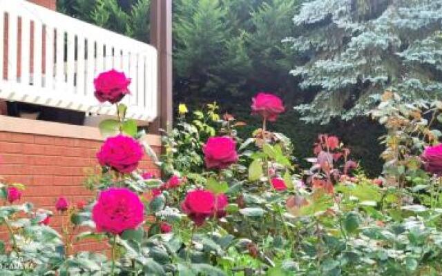 Will's Wonderland B&B & Farmstay