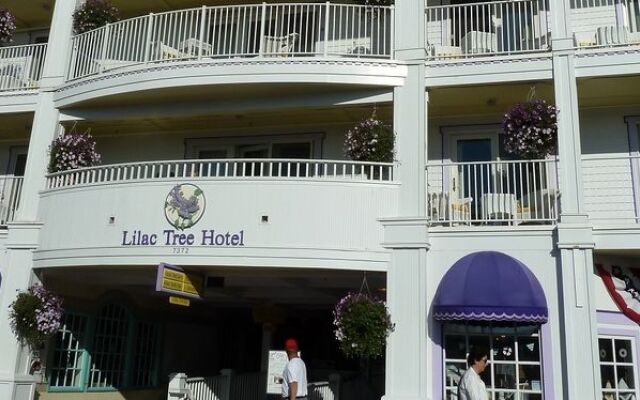 Lilac Tree Suites