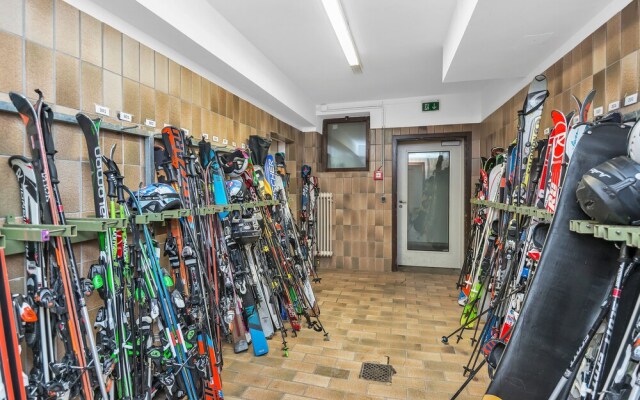Hotel Pinzgauerhof by Skinetworks