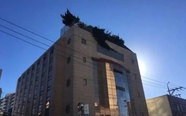 Rooftop Party Guesthouse - Hostel