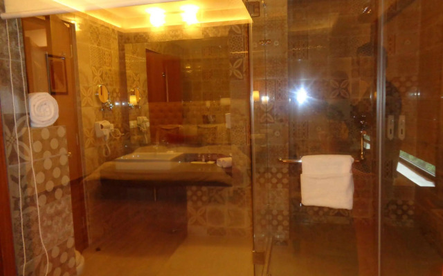 RS Sarovar Portico Palampur