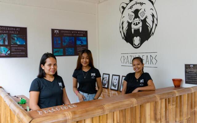 Crazy Bears Hostel