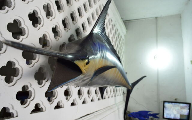 Marlin Hostel