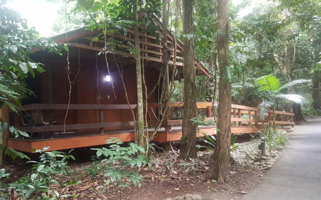 Cape Tribulation Beach House