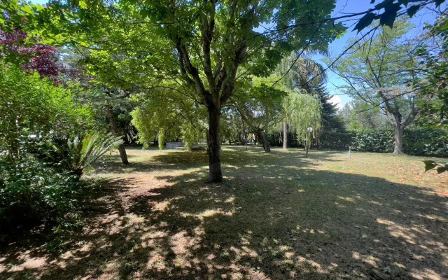 Camelie Apartment by Agriturismo Al Gallo Verde