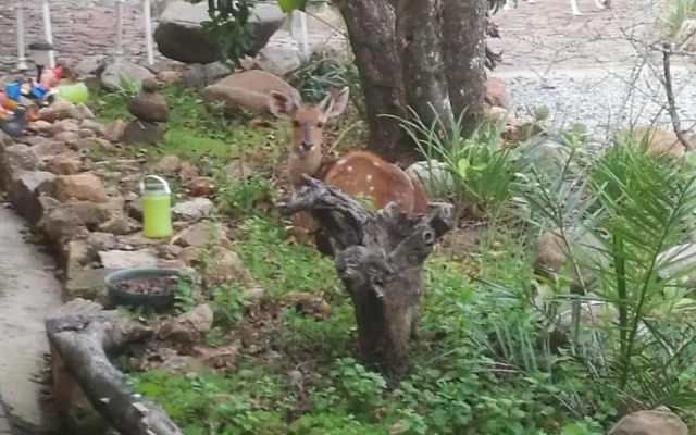 Oasis in the Wild @Marloth