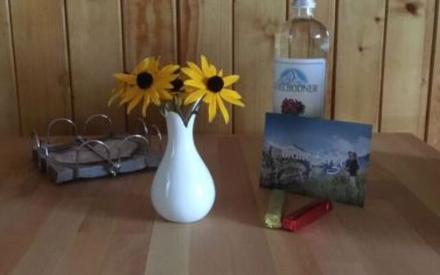 Apartment Hari Adelboden