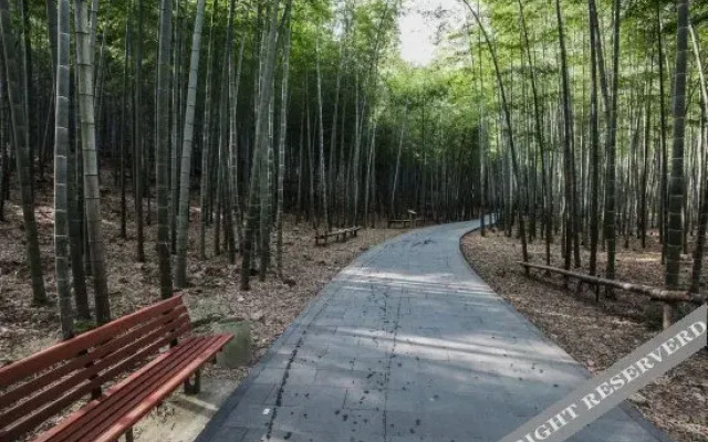 The Nine Boutique Hostel