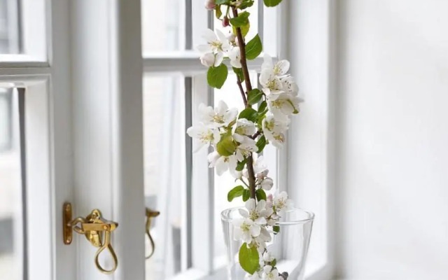 Ferienhaus Grosse 73, Flensburg