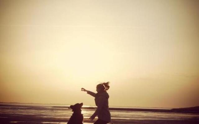 Reetdachhaus Deichkrone