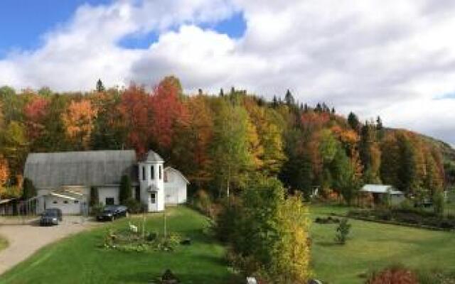 The Rustic House of the Fjord
