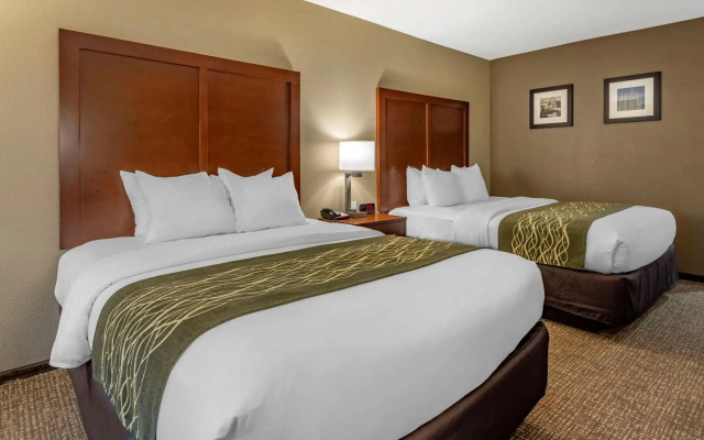 Comfort Inn and Suites