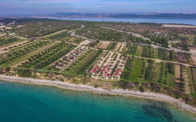 Mobile Home Pecten Exclusive 1