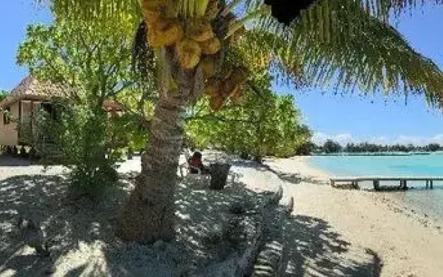 Pension Anaa Toku Kaiga