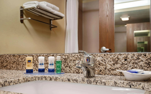 Best Western Plus Executive Hotel & Suites