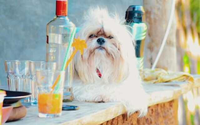 Pousada Quinta da Lagoa Azul