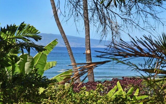 Maui Sands Seaside 718 - 1 Br Condo