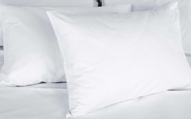 Magnuson Hotel Dixon