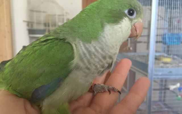 ilgiardinoincantato.it