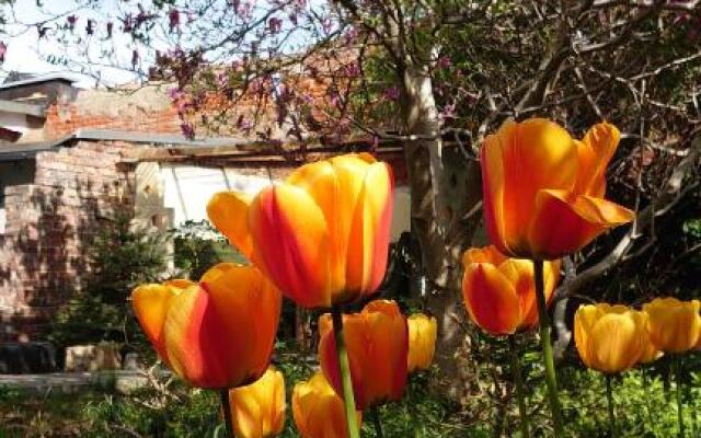 alte Bäckerei Bautzen - 02 #Senior#