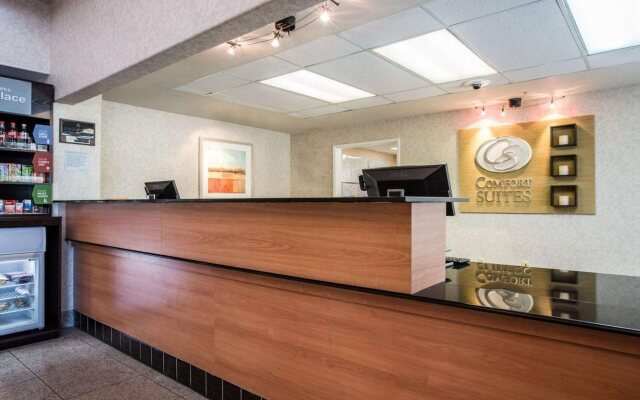 Comfort Suites Victorville-Hesperia