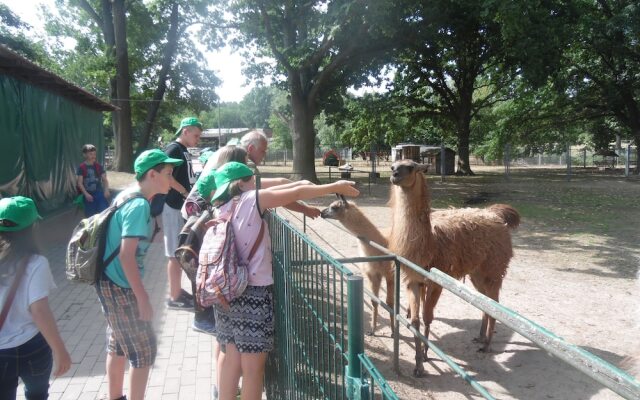 NaturFreundeHaus Stecklenberg - Hostel