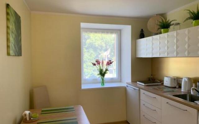 Excelent apartment with garden and free parking