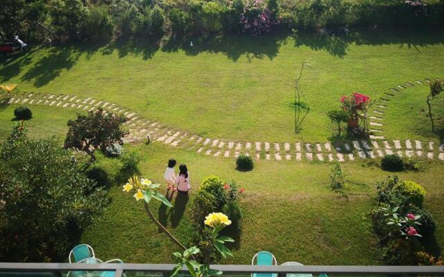 The Tree Bed and Breakfast