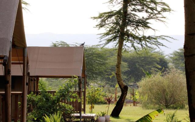 Africa Safari Lake Manyara