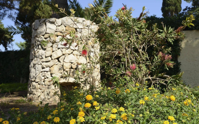 Residence Oasis