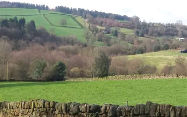 Oaks Lane Farm