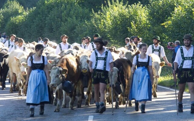FeWo Schönblick Oberstaufen/Steibis