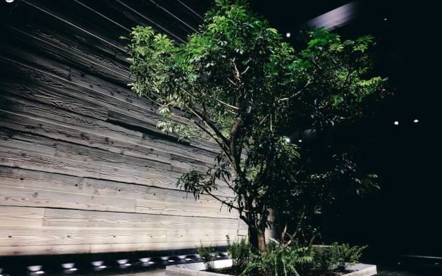 Nol Kyoto Sanjo Aparthotel