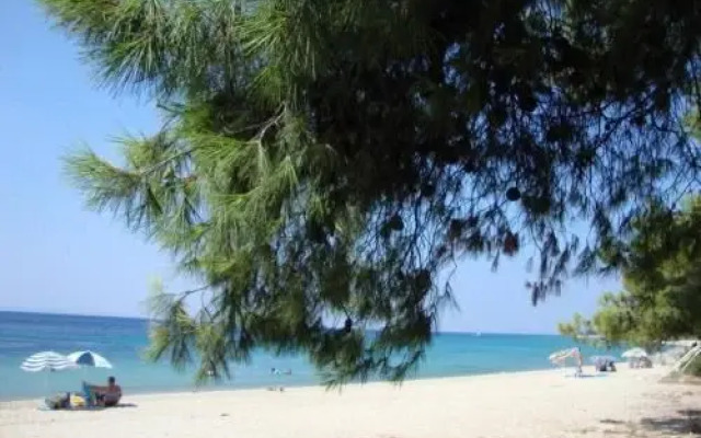 Flat 2 bedrooms 1 bathroom - Neos Marmaras