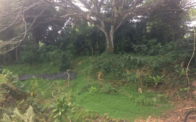 SweetSpotStay-Enchanted Grotto