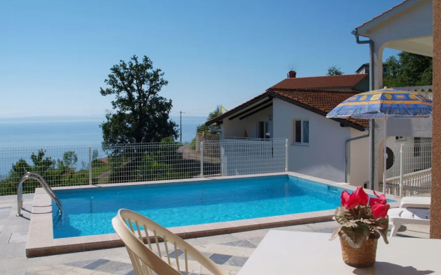 Laurus Tuli Evica in Tuli Evica