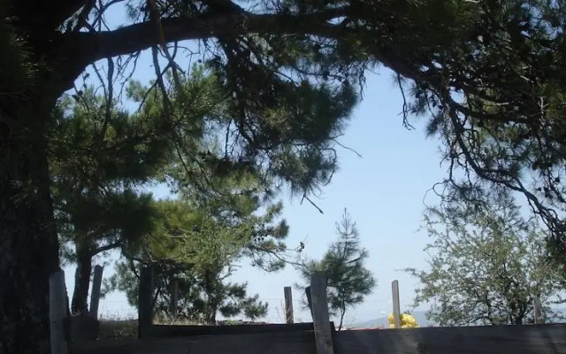 Gokpinar Country Home