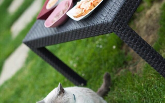 Chambres dhôtes Larroquinière